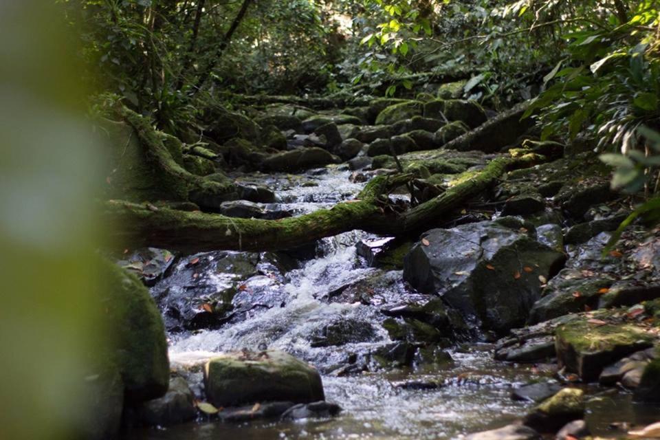 Pousada Bergen Huetten Rio Fortuna Esterno foto